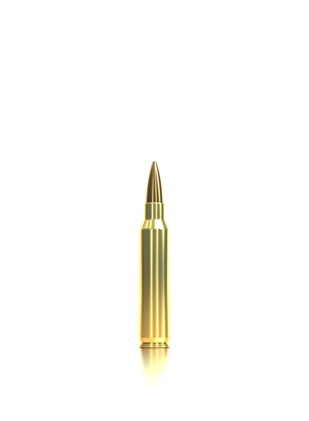 Sellier & Bellot Büchsenmunition Precision Ammo .223 Rem 3,36g Hollow Point Boat Tail