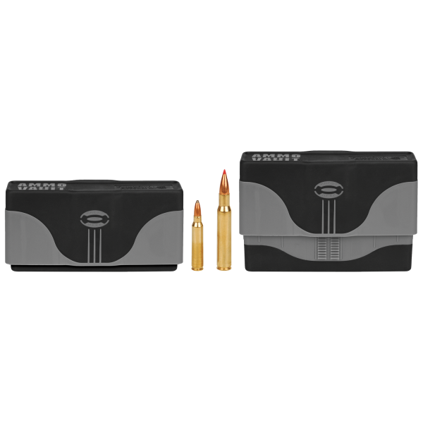 Frankford Arsenal Munitionsbox Ammo Vault Grau RLG-20